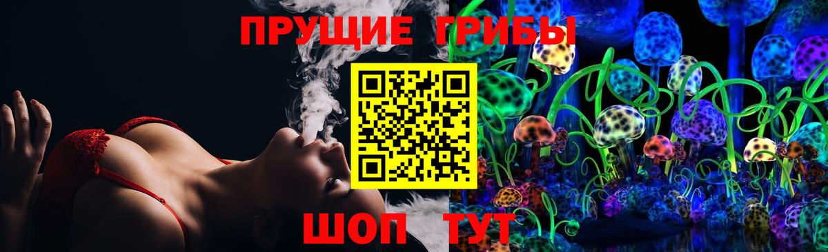 Бийск  Псилоцибиновые грибы MAGIC MUSHROOMS  Вход с VPN 